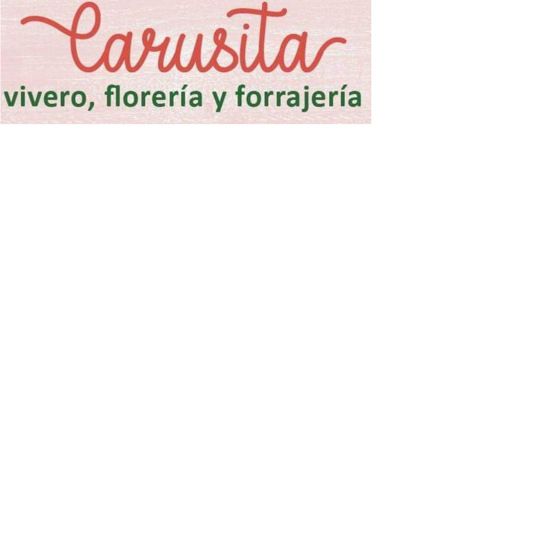 Logo carusitas